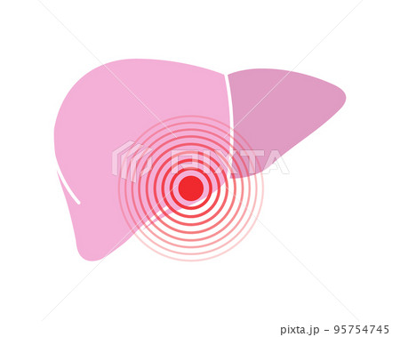 Human liver pain symbol. Liver ache icon. Vector illustration. Human body ache pain dot 95754745