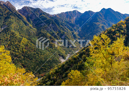 秋　紅葉の南アルプス林道からの絶景　奥に甲斐駒ヶ岳　両側に鋸岳、駒津峰、双児山 95755826