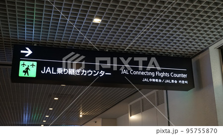 機内 95755870