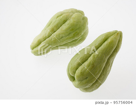 ハヤトウリ 95756004