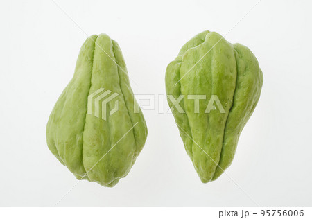 ハヤトウリ 95756006