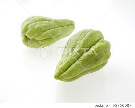 ハヤトウリ 95756007