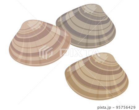 はまぐり 95756429