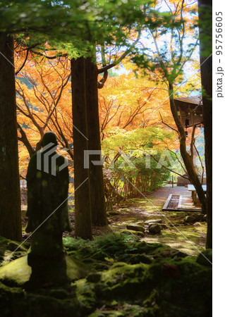 鎮国寺頂峯院 大師堂の秋の風景 95756605