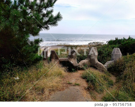 あの海・あの海岸… 鉾田市・荒地海岸 あの海・あの海岸… 鉾田市・荒地海岸 95756758
