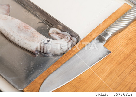 【スルメイカをさばく】 95756818