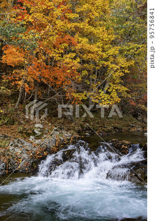 三階滝公園の紅葉 95756841