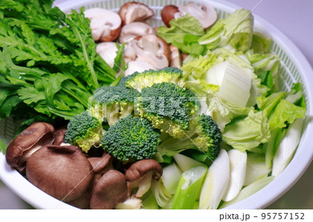 鍋料理の具材 野菜 鍋料理の具材 野菜 95757152
