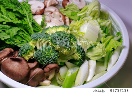 鍋料理の具材 野菜 鍋料理の具材 野菜 95757153