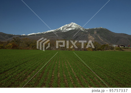 ニセコ連峰 95757337