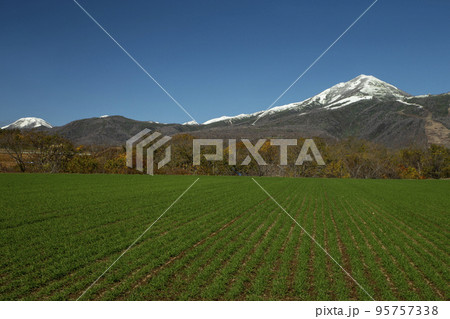 ニセコ連峰 95757338