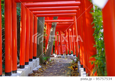 神社、鳥居、境内用しめ縄 鳥居用しめ縄のおすすめ人気商品一覧 通販 - Yahoo!ショッピング