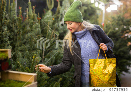Interested woman choosing fir tree for New Year celebration at street fair 95757956