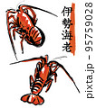 伊勢海老 95759028