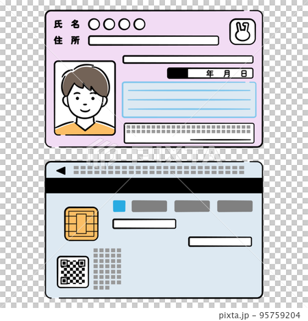 若い男性のマイナンバーカード両面のイラストセット 95759204