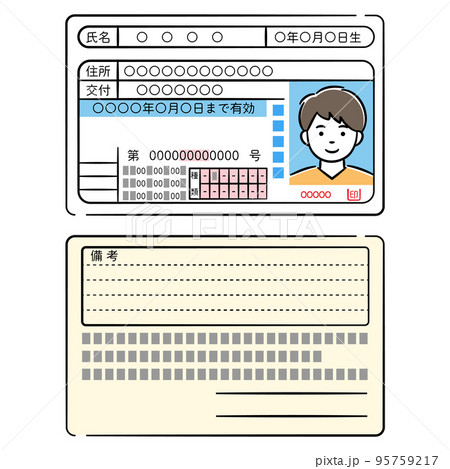 若い男性の運転免許証両面のイラストセットのイラスト素材