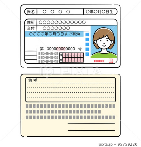 若い女性の運転免許証両面のイラストセット 95759220