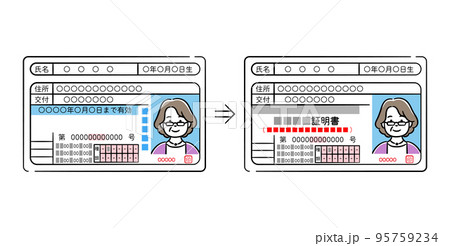 シニア女性の運転免許証と運転経歴証明書のイラストセット シニア女性の運転免許証と運転経歴証明書のイラストセット 95759234