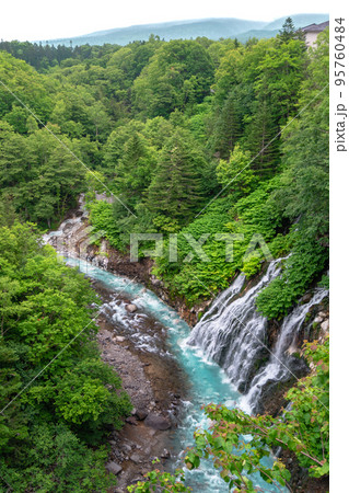 北海道　白ひげの滝　美瑛 95760484