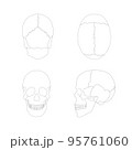 頭蓋骨のシンプルなイラスト 95761060