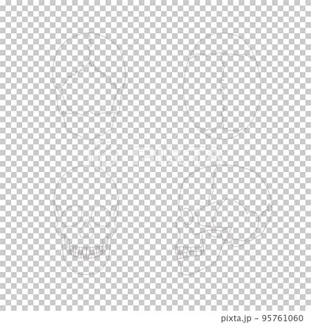 頭蓋骨のシンプルなイラスト 頭蓋骨のシンプルなイラスト 95761060