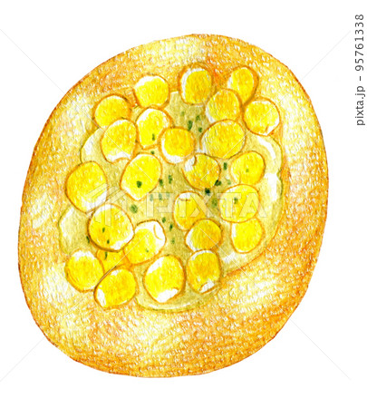 コーンマヨの総菜パンの色鉛筆画ワンポイント コーンマヨの総菜パンの色鉛筆画ワンポイント 95761338