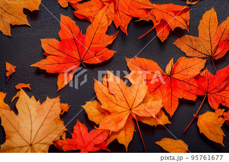 イラスト 秋 紅葉 山 自然 森 風景のイラスト素材