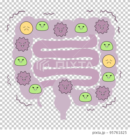 Unhealthy intestinal environment Illustration of large intestine and small intestine 95761825