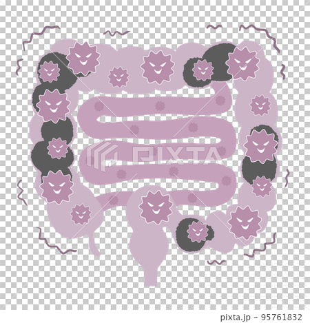 Even the small intestine is full of bad bacteria Illustration of the large and small intestine 95761832