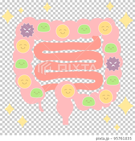 Ideal intestinal environment (good bacteria: opportunistic bacteria: bad bacteria = 2:7:1) Illustration of large intestine and small intestine 95761835