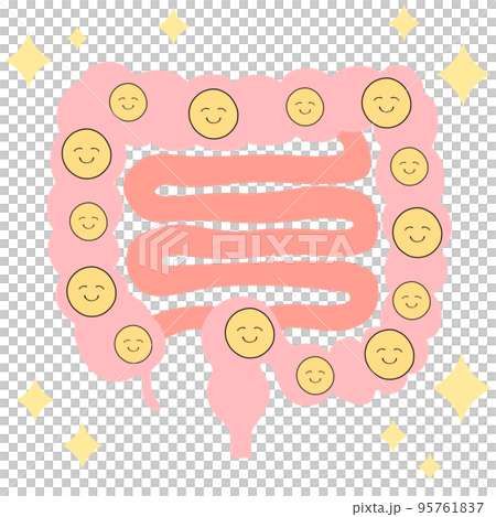 滿滿的好菌大腸小腸圖解 95761837