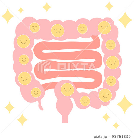 善玉菌がいっぱい 大腸と小腸のイラスト 善玉菌がいっぱい 大腸と小腸のイラスト 95761839