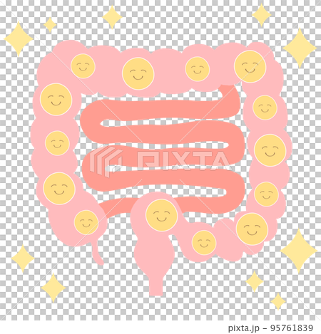 善玉菌がいっぱい 大腸と小腸のイラスト 善玉菌がいっぱい 大腸と小腸のイラスト 95761839