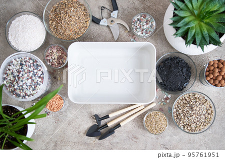 plastic box for soil substrate preparation for transplanting houseplants on concrete background 95761951