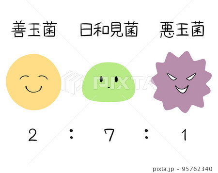 腸内細菌は善玉菌:日和見菌:悪玉菌＝2:7:1が理想的 95762340
