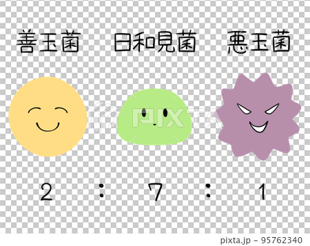 腸内細菌は善玉菌:日和見菌:悪玉菌＝2:7:1が理想的 95762340