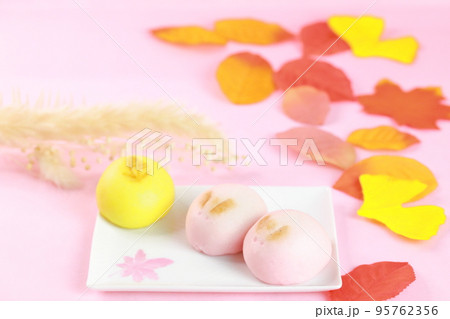 うさぎのおまんじゅう 95762356