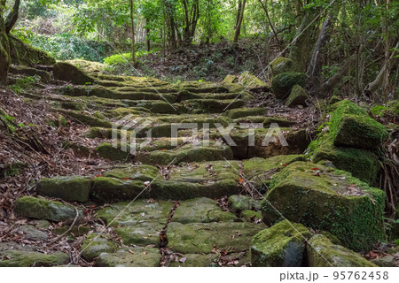 苔の生えた石階段の古道 苔の生えた石階段の古道 95762458