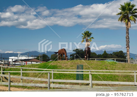 牧場の馬と青空の自然風景 95762715