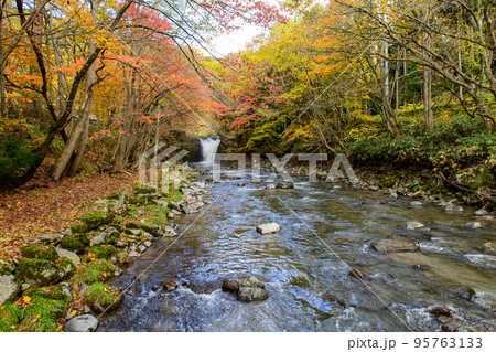 紅葉の中を流れる止滝と大湯川 秋田県 紅葉の中を流れる止滝と大湯川 秋田県 95763133
