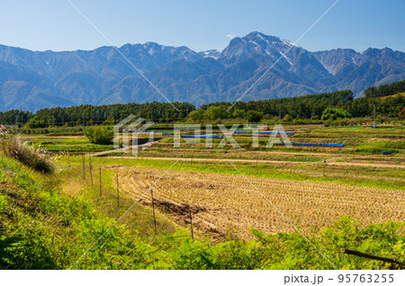 南アルプスと津金の農村風景 95763255