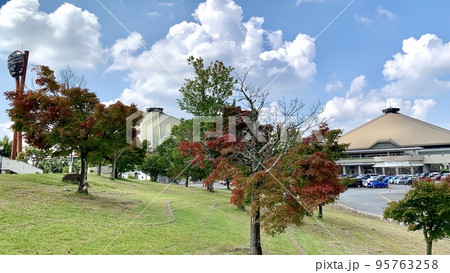 秋晴れの空に映える紅葉〈岡崎中央総合公園/愛知県岡崎市〉 95763258