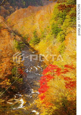 長野県山之内町と栄村の町村境を流れる雑魚川の秋の風景 長野県山之内町と栄村の町村境を流れる雑魚川の秋の風景 95763296