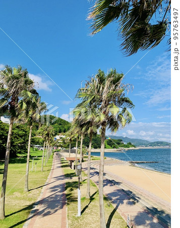 ヤシ並木と砂浜と青空［吉良ワイキキビーチ宮崎海水浴場/愛知県西尾市吉良町］ 95763497