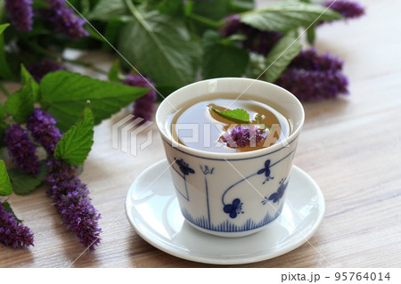 Herbal tea from medicinal herb Agastache foeniculum, also called giant hyssop or Indian mint Herbal tea from medicinal herb Agastache foeniculum, also called giant hyssop or Indian mint 95764014