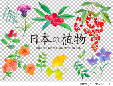 水彩イラストセット　日本の植物 95766024