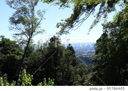 高尾山　登山道 95766405