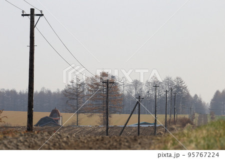 北海道　十勝地方　牧場のある風景（秋） 95767224