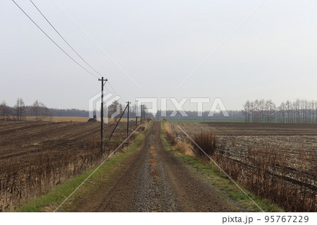 北海道 十勝地方 牧場のある風景(秋) 北海道 十勝地方 牧場のある風景(秋) 95767229
