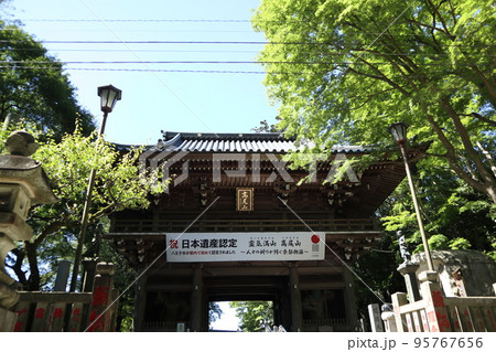 高尾山 登山道 高尾山 登山道 95767656